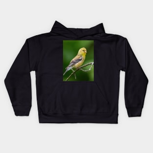 American Goldfinch on a beautiful Spring Day Kids Hoodie